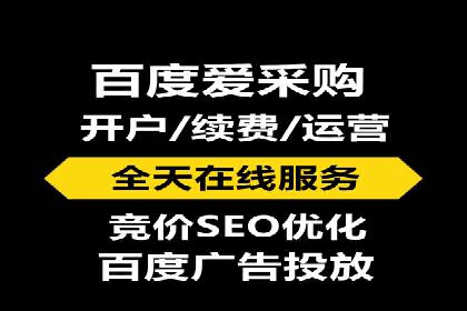 竞价广告实战：XX品牌如何通过竞价提升品牌影响力